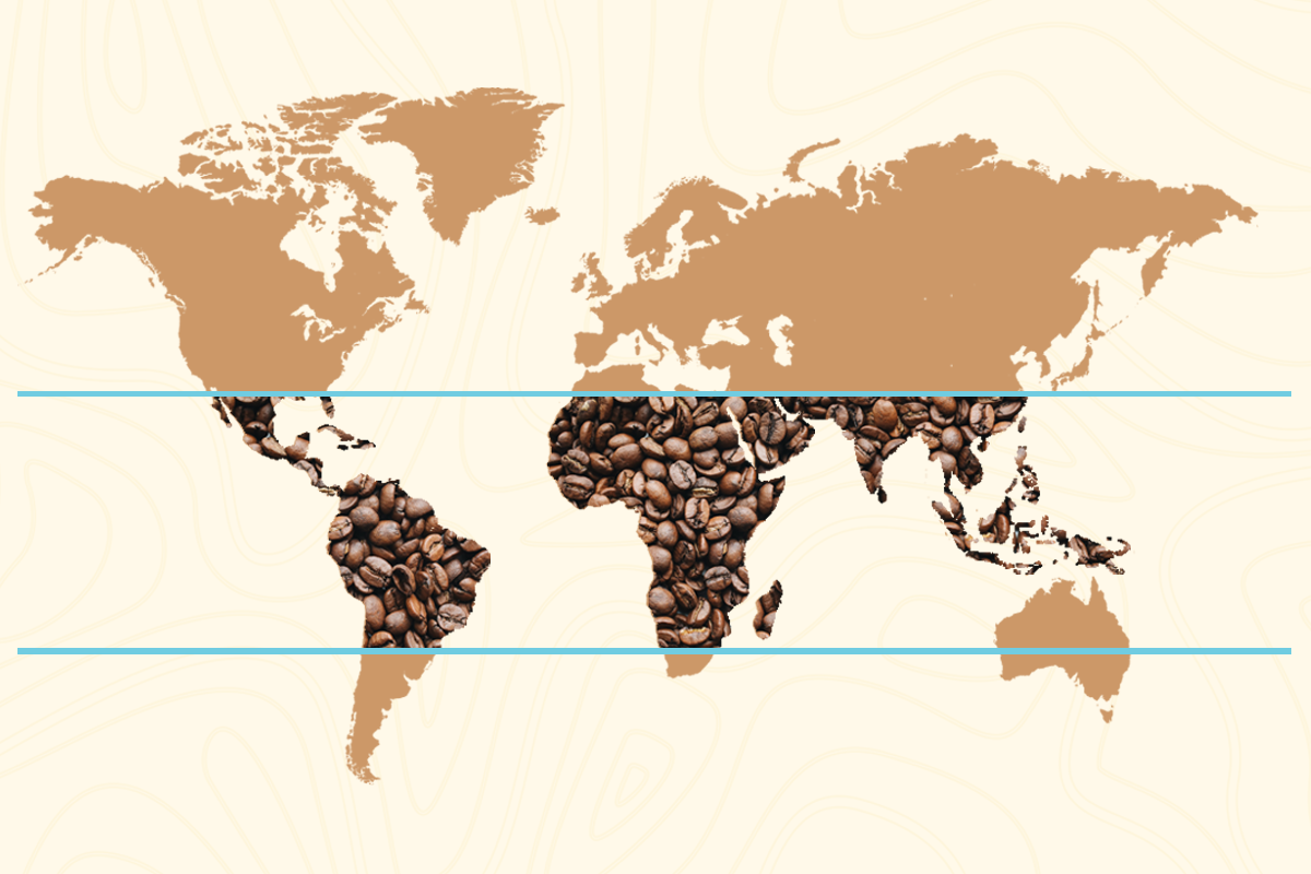 Sabías que existe el cinturón del café? ¡Te lo enseñamos!